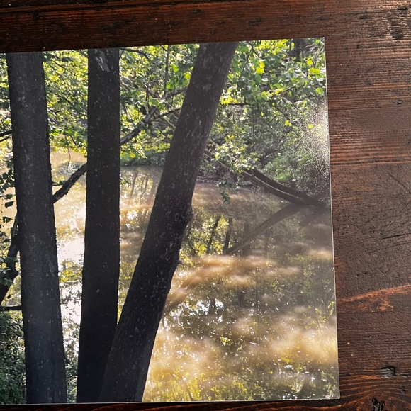 Stream Pool Color Photo - Picture 3 of 3